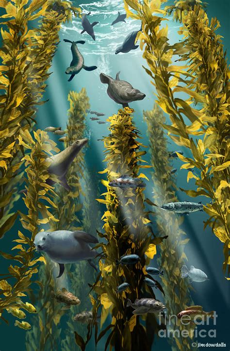 Kelp Forest Drawing