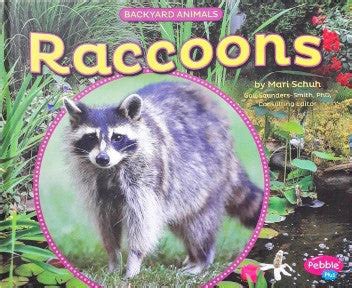 Backyard Animals Raccoons – Books and You