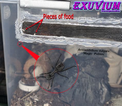 Image result for Ventilation Insect Mesh Cladding