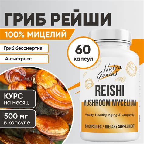Гриб Рейши, Reishi, Трутовик лакированный, мицелий, для иммунитета ...