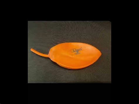 Rubber Bladder - Rubber Football Bladders Manufacturer from Meerut