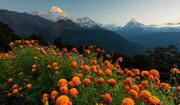 4 Days 3 Nights Pashupatinath Temple, Boudhanath, Kathmndu Durbar ...