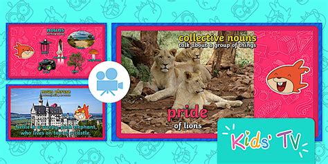 A Parliament of Owls? | What is a Noun Phrase? | Nouns for Kids ...