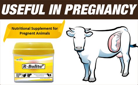 REFIT ANIMAL CARE Nutritional Supplement for Pregnant Cow, Cattle ...