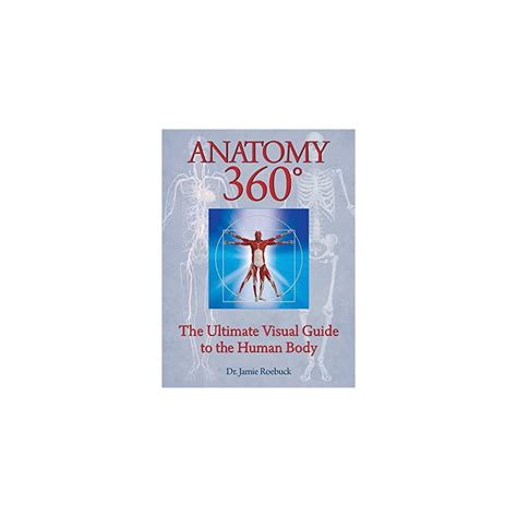 Buy Anatomy 360: The Ultimate Visual Guide to the Human Body Paperback ...