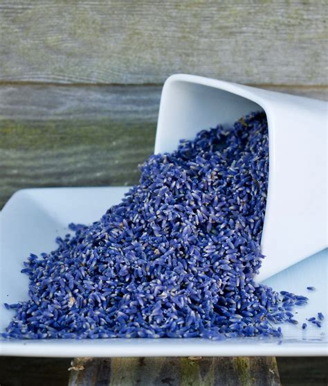 Edible Lavender Varieties | B&B Family Lavender Farm Sequim