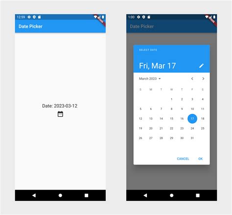 Date PICKER Flutter 的图像结果