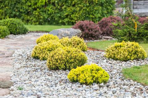 Image result for Landscape Maintenance Tips