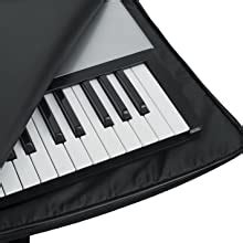 Blueberry KB-40 Keyboard Padded Gig Cover Bag Compatible with Casio CT ...