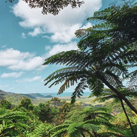 A Tale of Two Extinctions: What the Triassic Tells us about Who Lives, Who Dies and Why it ...