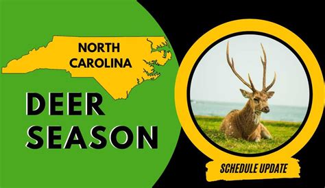Tennessee's 2025-2026 Deer Seasons: Zones, Tags, and Essential Dates ...