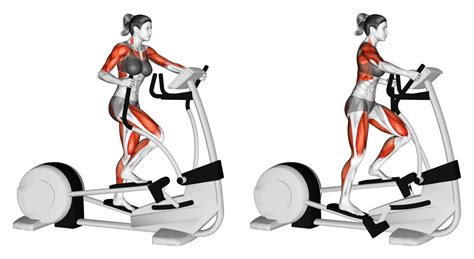 Rowing Machine Elliptical 的图像结果