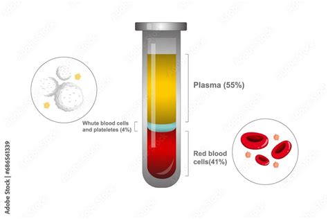 Image result for Normal Values of Blood Components
