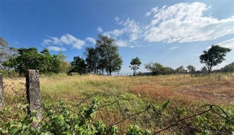 Palakkad-property.com: Real Estate | Property in Palakkad | Buy/ Sale ...