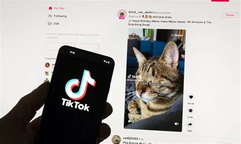 Europe asks Google, Facebook, TikTok and other platforms how they’re ...
