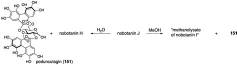 Structural Revisions in Natural Ellagitannins
