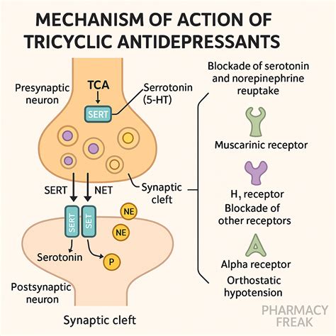 Mechanism of Action of Tricyclic Antidepressants (TCAs)