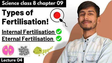 Image result for Fertilisation Types