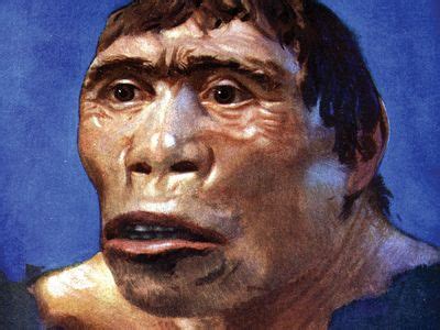 Image result for Java Man Tools They Use