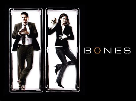 Bones: Season 2 DVD Review