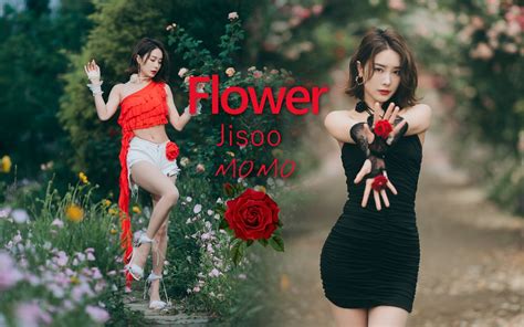 御姐姐摇花手！今必须跟我走！金智秀FLOWER全舞翻跳-王筱沫沫丶-王筱沫沫丶-哔哩哔哩视频