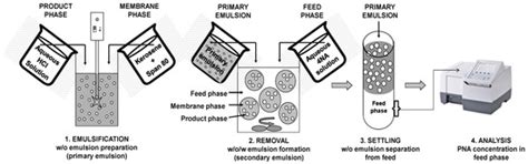 Efficiency, Kinetics and Mechanism of 4-Nitroaniline Removal from ...