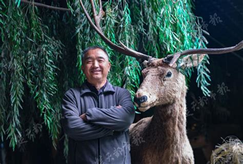 长江故道上的麋鹿守护者 25年记下200多本巡查记录_湖北频道_凤凰网
