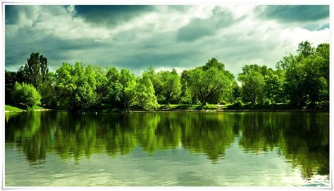 MICE - Computer Courses at MICE