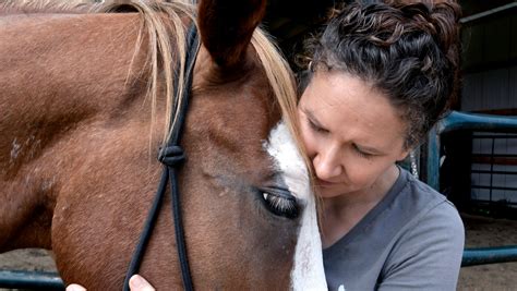 Horse Plus Humane Society