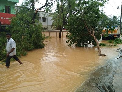 Green Care Foundation