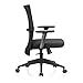 Featherlite Contact Project Medium Back Desk Arm Mesh Chair (Black ...