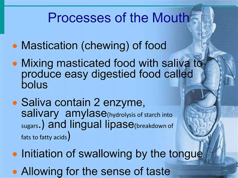 Anatomy of Git System in Amharic 的图像结果