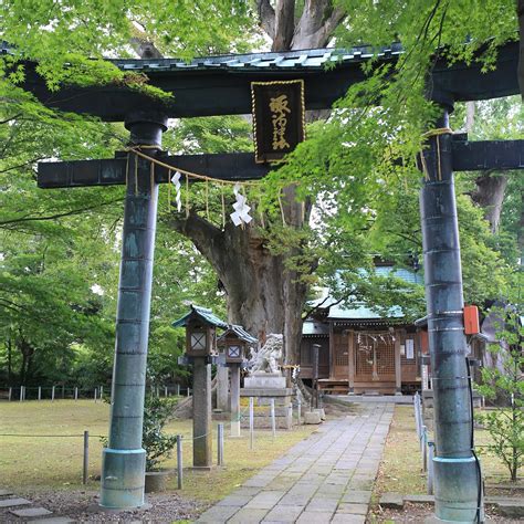 SUWA SHRINE (2026) All You Need to Know BEFORE You Go (with Photos ...