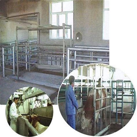 Image result for Beef Processing Systems