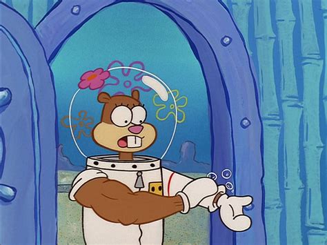 Image result for Sandy Cheeks Sad