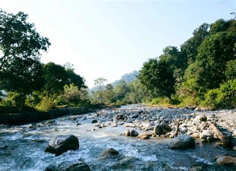 Jim Corbett Booking | Explore Corbett Jungle Safari Adventures