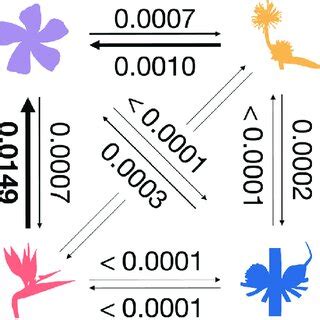 Image result for Transition Matrix in Animal Behavior