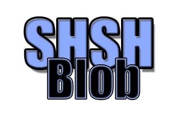 Todo lo que necesitas saber sobre los SHSH • iPhoneate - iNeate