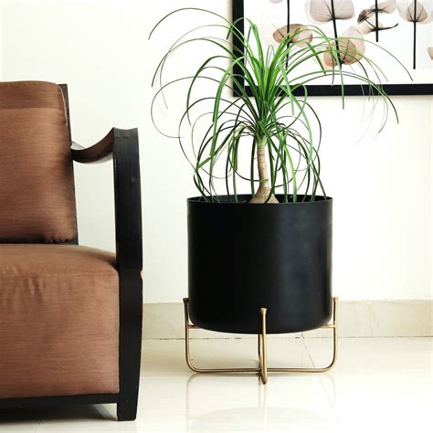 Buy best black pots and planters online - Mora Taara