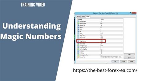 Understanding the Significance of Magic Numbers in EA Forex Trading