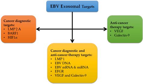 Recent Advances in Diagnostic Approaches for Epstein–Barr Virus