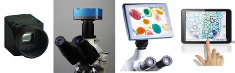 Microscope Computer Camera 的图像结果