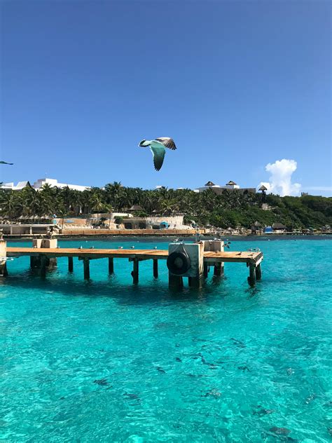 Image result for Cartoon Network Blue