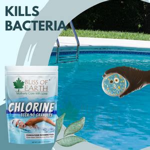 Bliss of Earth Japanese Chlorine Powder for Pool 453g, Clean & Clear ...