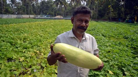 Kodungallur Pottuvellari | Thrissur