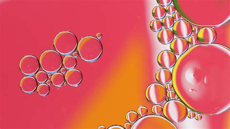 Download wallpaper 2560x1440 bubbles, liquid, oil, macro, transparent ...