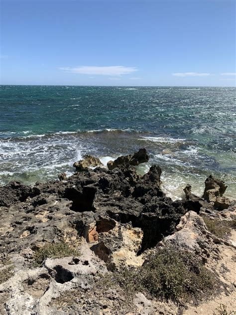 New Reference Photos: Perth Beaches and Gardens - Draw Paint Academy