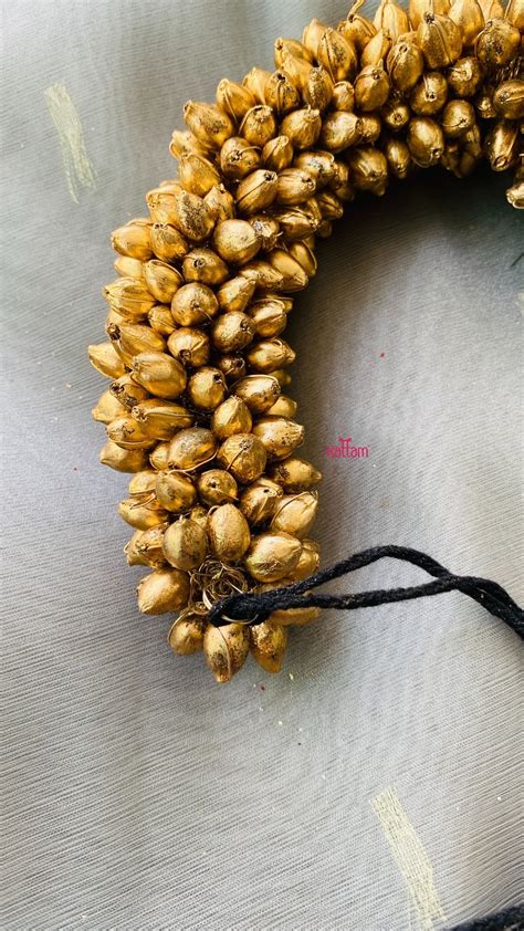Golden Mallipoo - Kattam