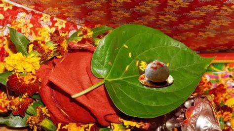 Jyotish Tips: लाल गुलाब के इन टोटकों के फायदे जान लेंगे, तो आप भी जरुर ...