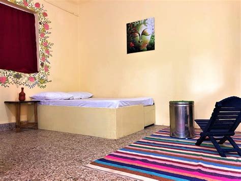 GREEN ROVER HOSTEL (Goa/Vagator) - Hostel Reviews & Photos - Tripadvisor
